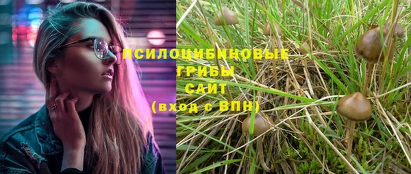 эйфоретик Вязьма