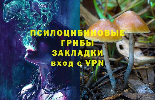 наркотики Вяземский
