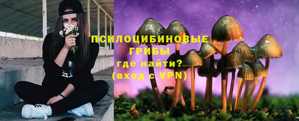 эйфоретик Вязьма