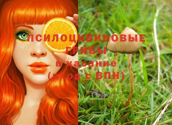 эйфоретик Вязьма