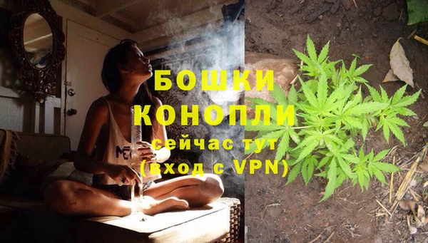 эйфоретик Вязьма