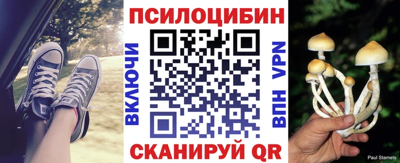 Псилоцибиновые грибы мицелий  Купить  Бузулук 